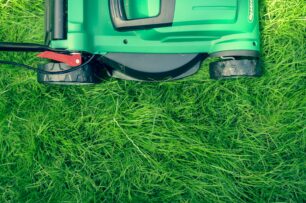 Best Skip Sizes for Landscaping Projects